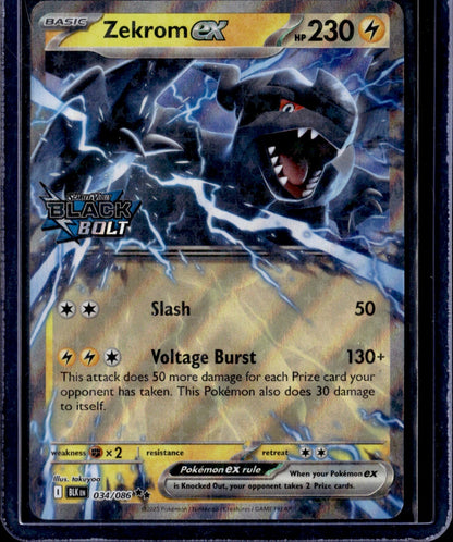 Zekrom ex Holo Double Rare SV: Black Bolt 034/086 NM